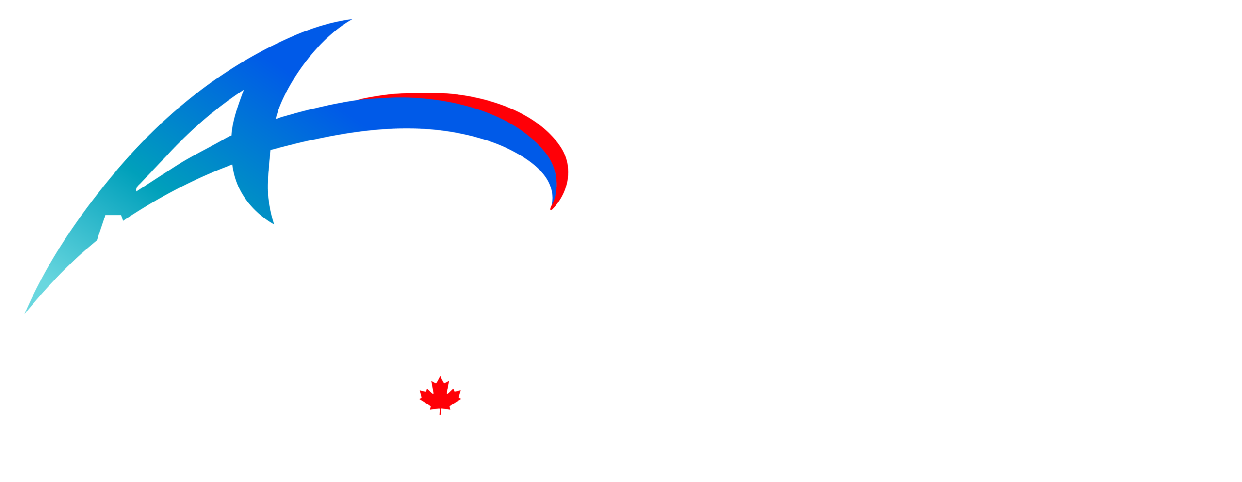 Accelerated Education Program logo